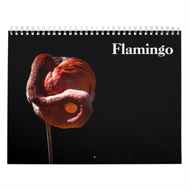 Calendario Flamingos 2027 (Tapa)