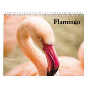 Calendario Flamingos 2027