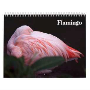 Calendario Flamingos 2027