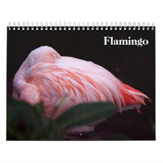 Calendario Flamingos 2027