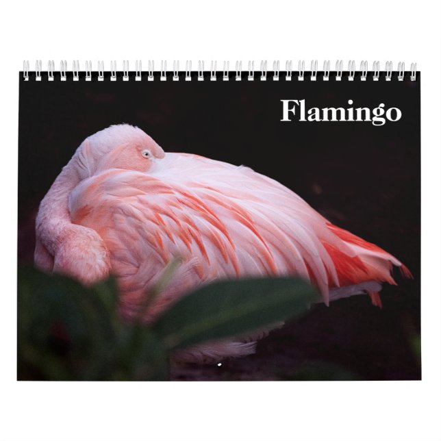 Calendario Flamingos 2027 (Tapa)