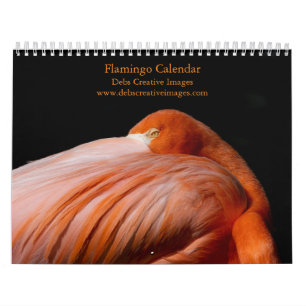 Calendario Flamingos de Florida 2027