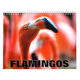 Calendario Flamingos Wall Calendar