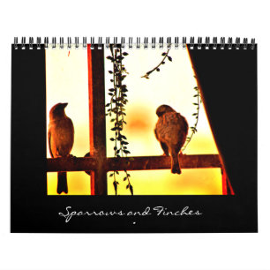 Calendario Flechas y aletas