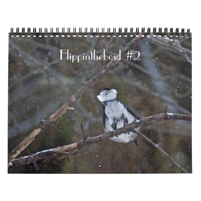 Calendario Flippintheboide #2 (Tapa)