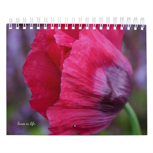 Calendario Flor de amapola (Tapa)