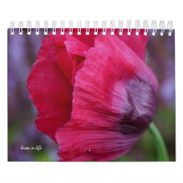 Calendario Flor de amapola