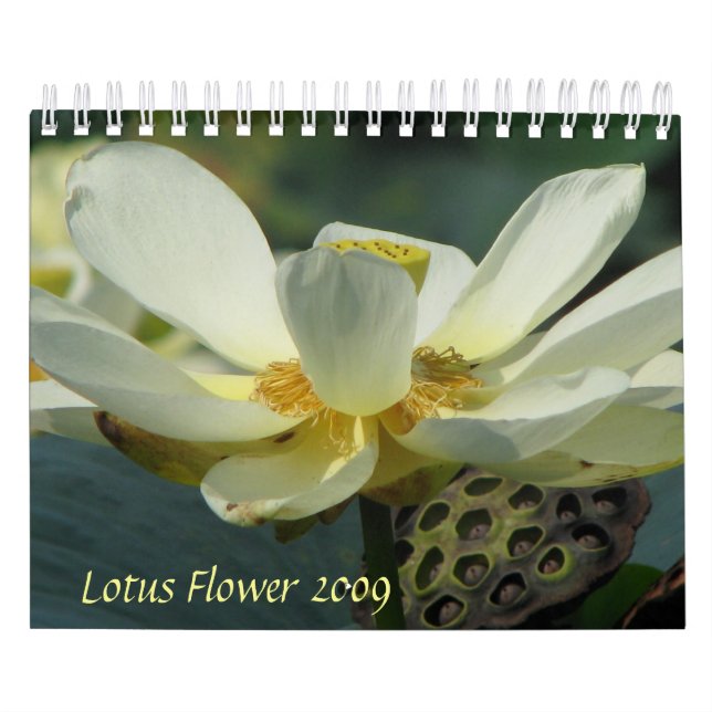 Calendario Flor de Lotus 2009 (Tapa)