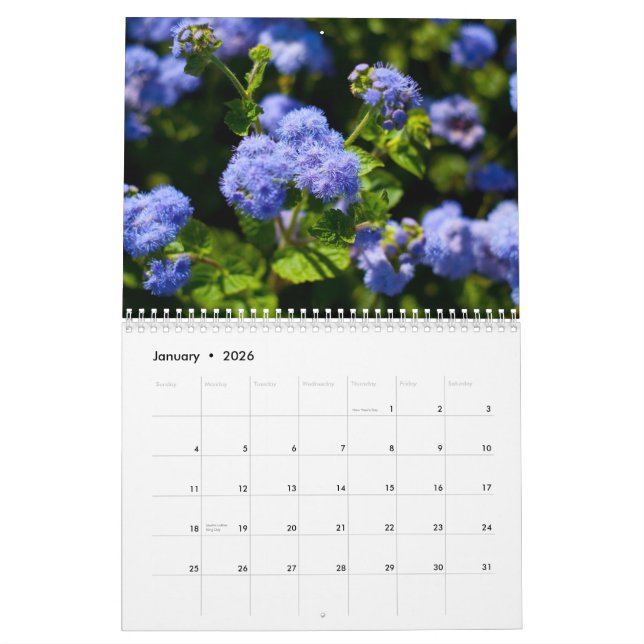 Calendario Flora 2011 (Jan 2026)