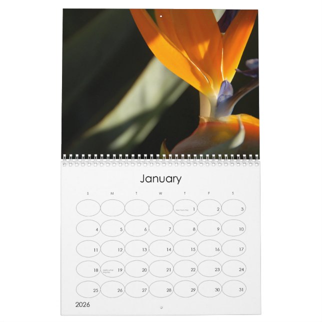 Calendario floral 2010 (Jan 2026)