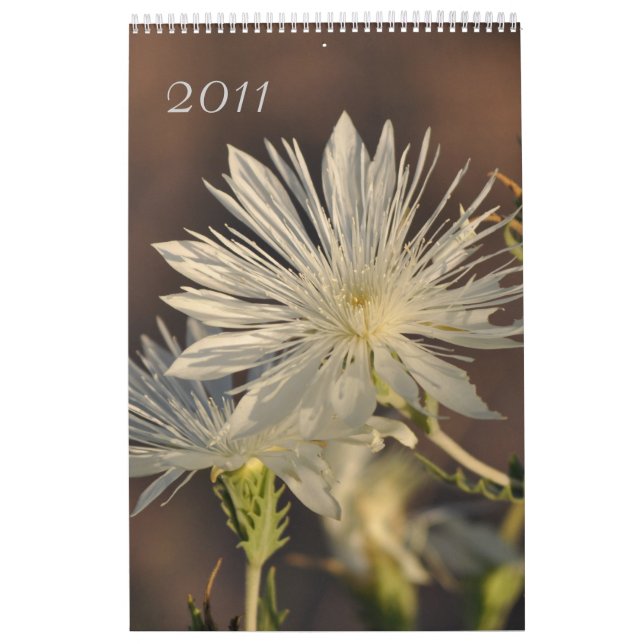 Calendario Floral 2011 (Tapa)