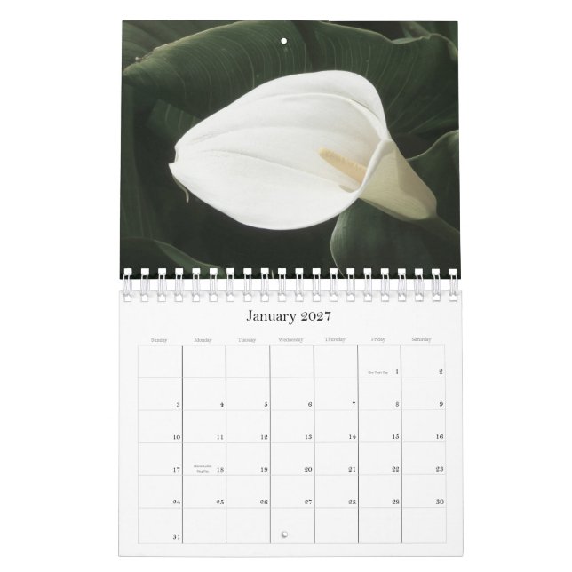 Calendario floral 2011 (Jan 2027)