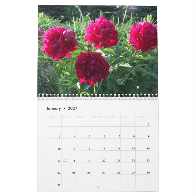 Calendario floral 2012 de la flor de los Peonies (Jan 2027)