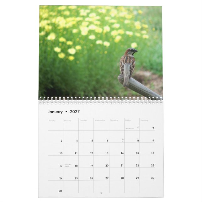Calendario floral 2013: Recepción a mi jardín (Jan 2027)