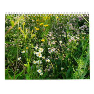 Calendario Floral 2027