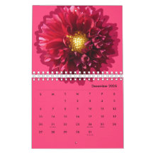 Floral Colorido 2026