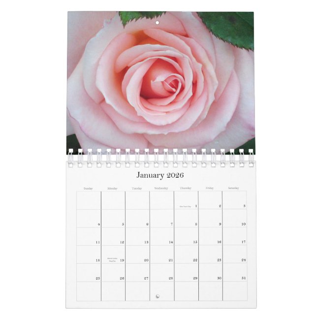 Calendario floral de los rosas 2011 rosados (Jan 2026)