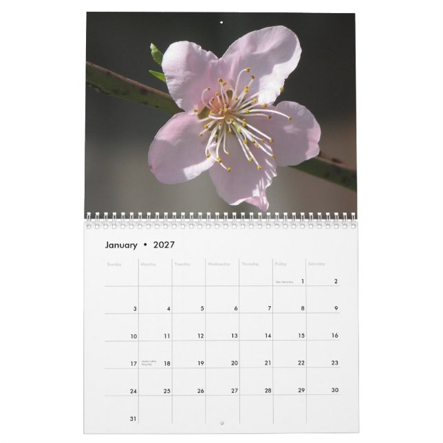 Calendario Flores 2011 (Jan 2027)