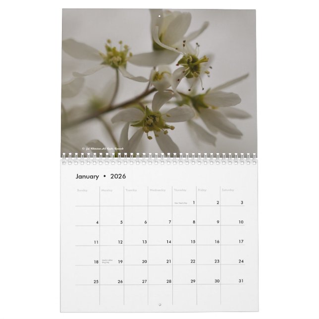 Calendario Flores 2015 (Jan 2026)