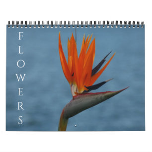 Calendario flores 2027