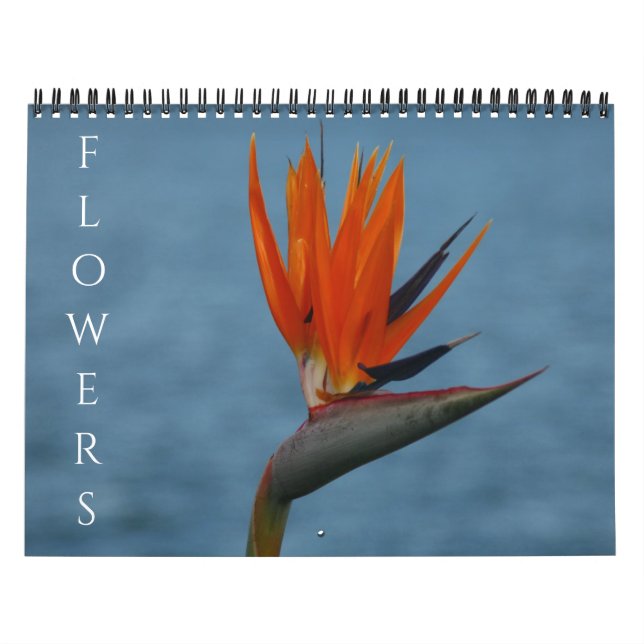 Calendario flores 2027 (Tapa)
