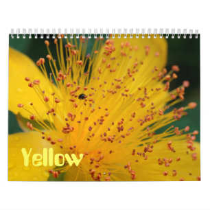 Calendario Flores amarillas