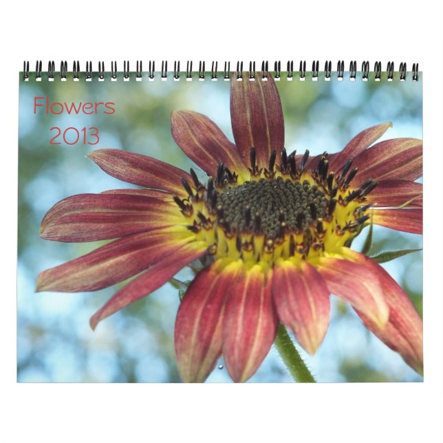 Calendario Flores Calender 2013 (Tapa)