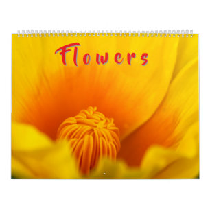 Calendario Flores Coloridas 