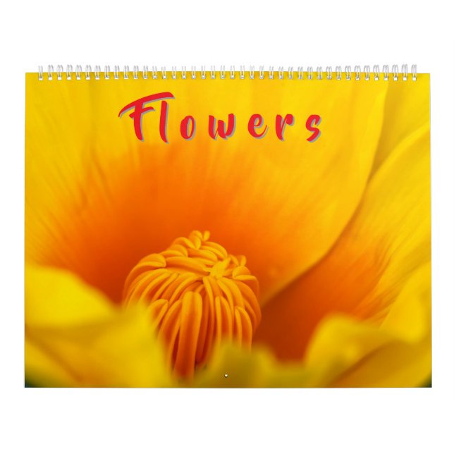 Calendario Flores Coloridas  (Tapa)