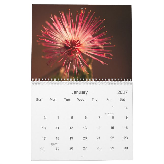 Calendario Flores de Arizona (Jan 2027)