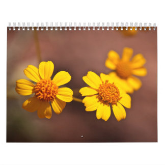 Calendario Flores de Arizona