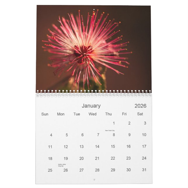 Calendario Flores de Arizona (Jan 2026)