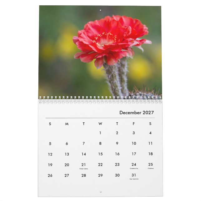 Calendario Flores de cactus (Dec 2027)