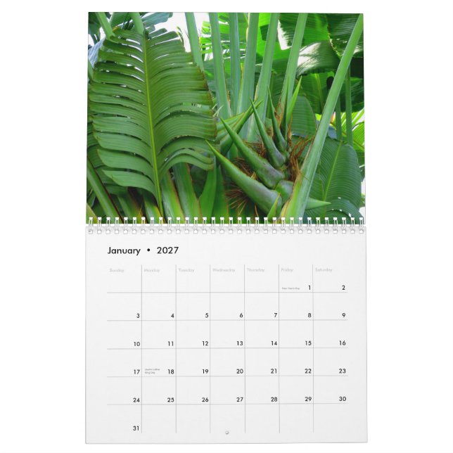 Calendario Flores de Hawaii (Jan 2027)