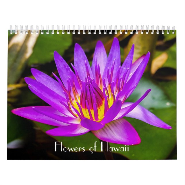 Calendario Flores de Hawaii (Tapa)
