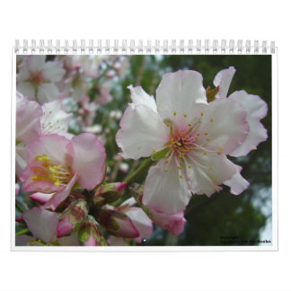 Calendario Flores de Israel