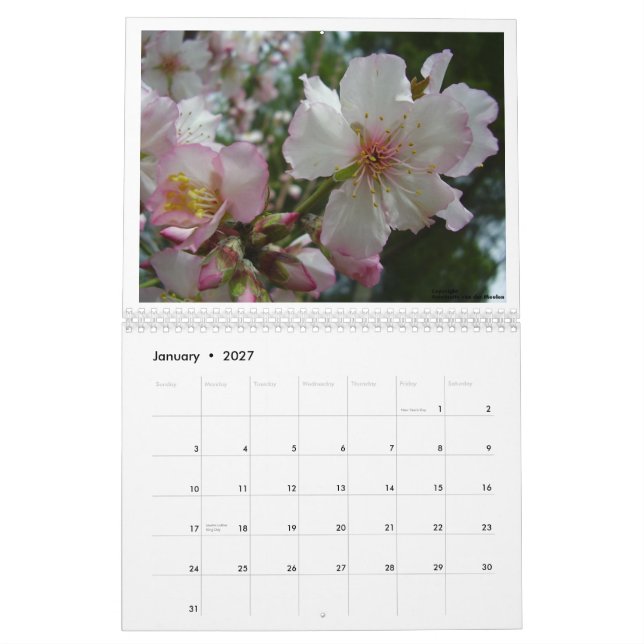 Calendario Flores de Israel (Jan 2027)
