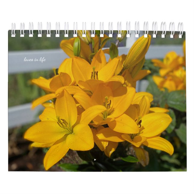 Calendario Flores de jardín amarillo (Tapa)