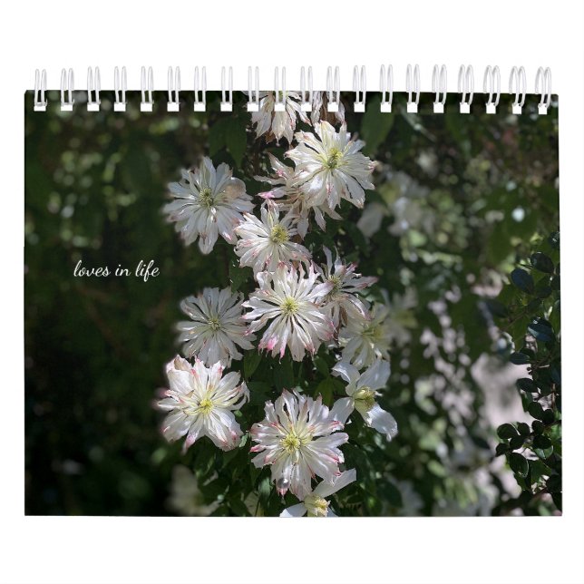Calendario Flores de jardín blanco (Tapa)