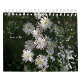 Calendario Flores de jardín blanco