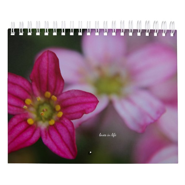Calendario Flores de jardín rosado (Tapa)