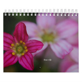 Calendario Flores de jardín rosado