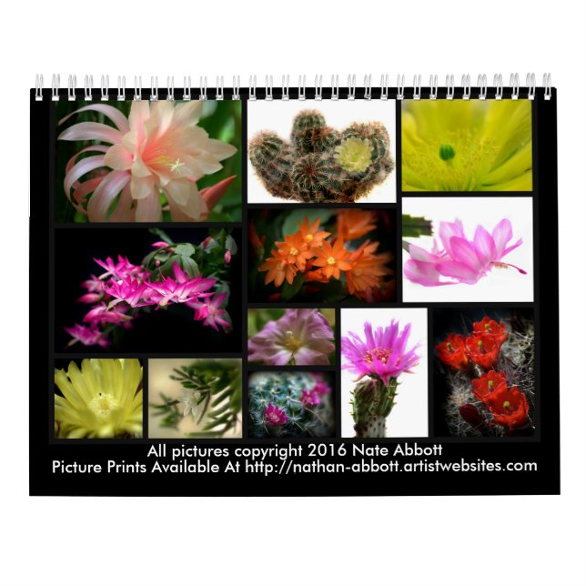 Calendario Flores de los cactus (Reverso)