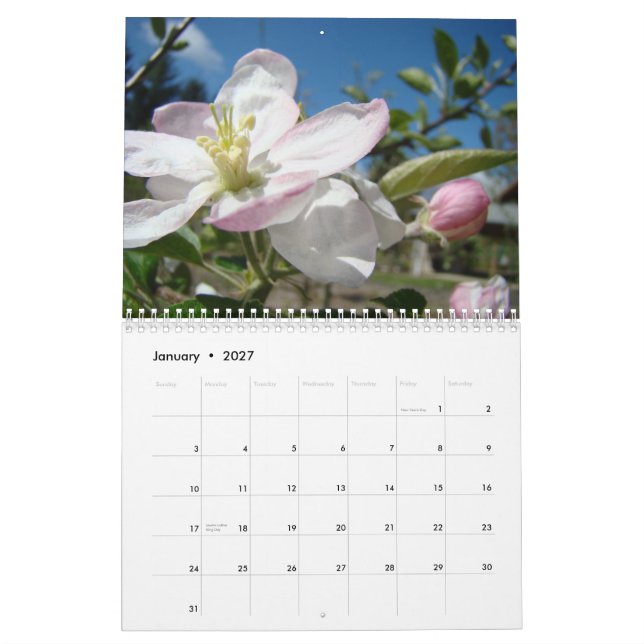 CALENDARIO FLORES DE MANZANO Arte de calendario de (Jan 2027)