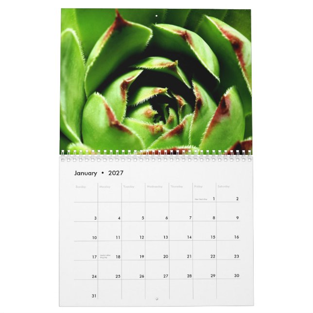 Calendario Flores e insectos (Jan 2027)