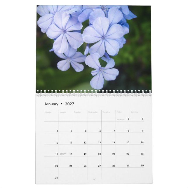 Calendario flores en blanco y negro (Jan 2027)