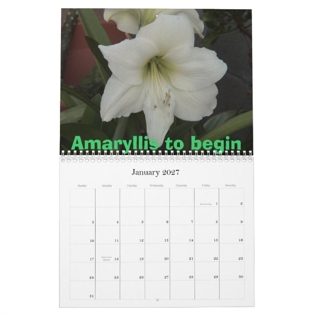 Calendario Flores hermosas (Jan 2027)
