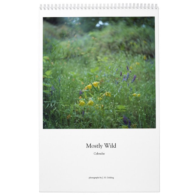 Calendario (flores) mayoritariamente salvaje (Tapa)