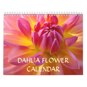 Calendario Flores Navidad Regalos Amor Naturaleza