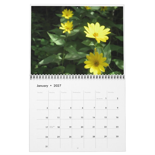 Calendario Flores salvajes (Jan 2027)